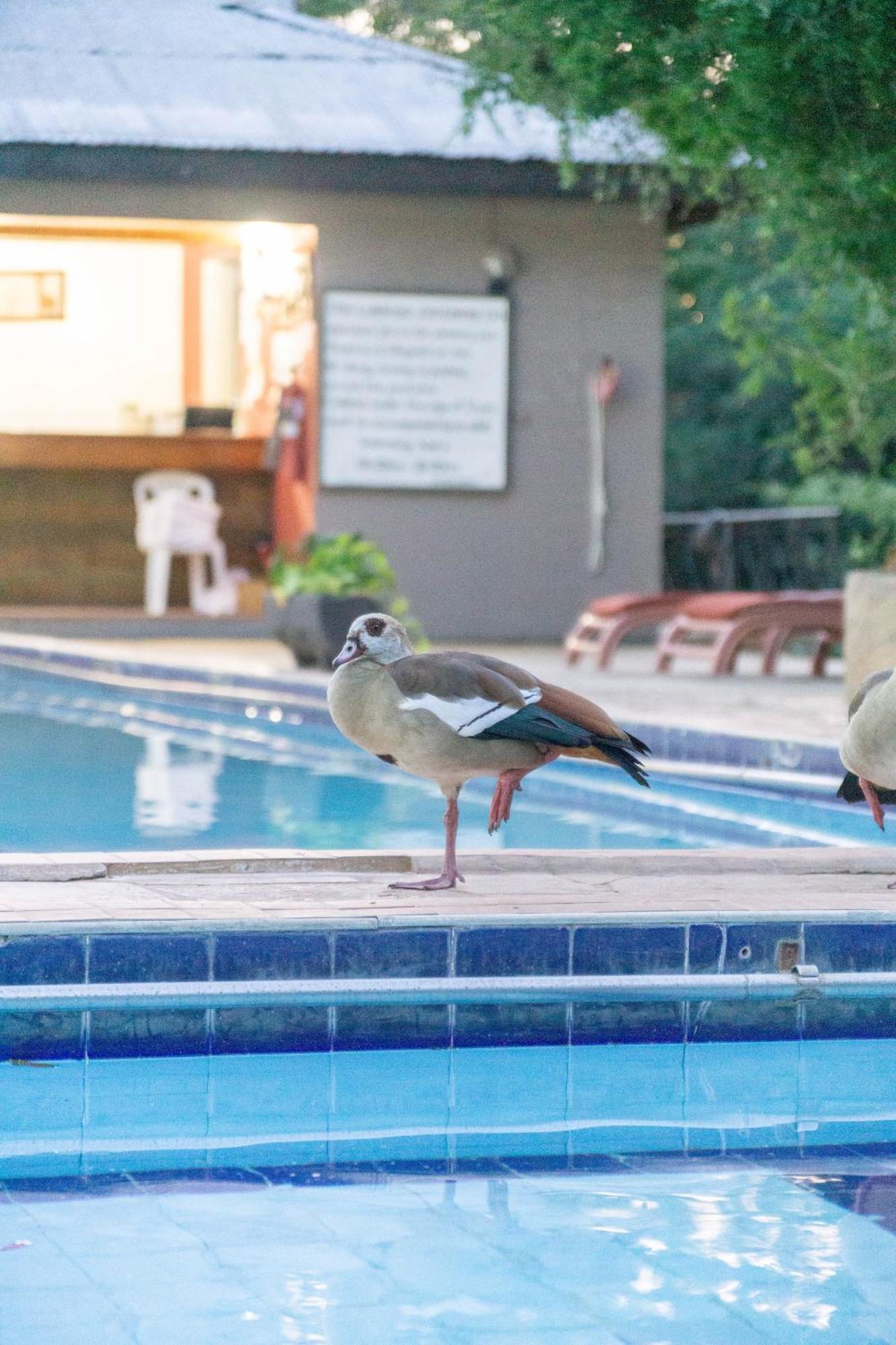 Hotel Lukenya Getaway Athi River Exterior foto