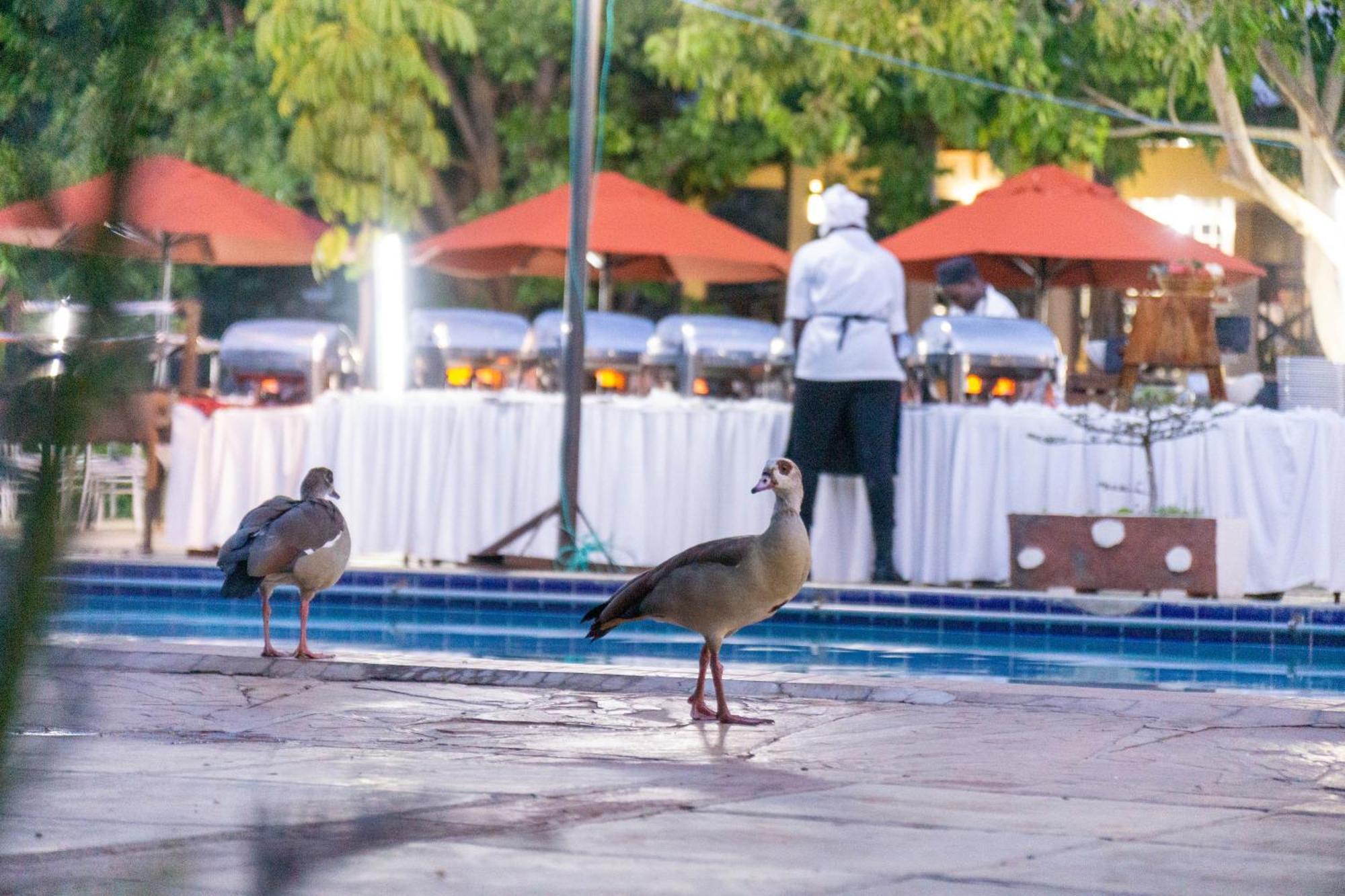 Hotel Lukenya Getaway Athi River Exterior foto