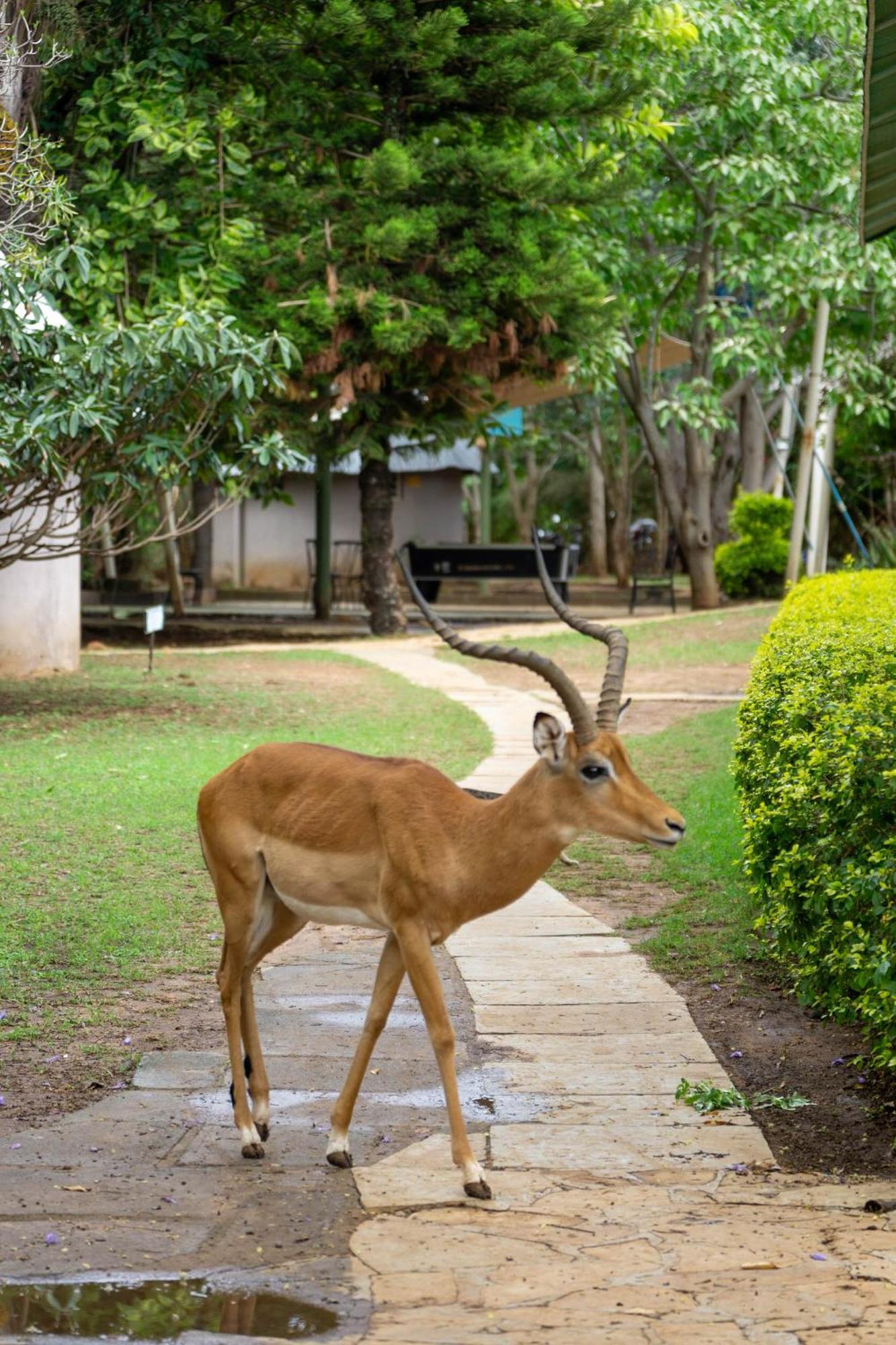 Hotel Lukenya Getaway Athi River Exterior foto